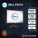 Dell-P2213